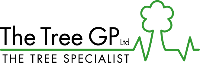 Expert Tree Services in Ipswich and Suffolk Expert Tree Services in Ipswich and Suffolk